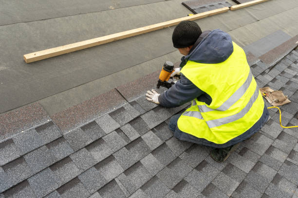 Roof Gutter Cleaning in Alice, TX