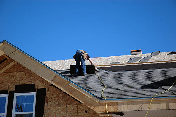 Roof Gutter Cleaning in Alice, TX